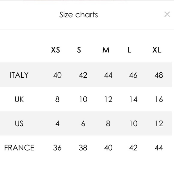 Pin-Up Stars Zebra Bikini - Picture 12 of 12